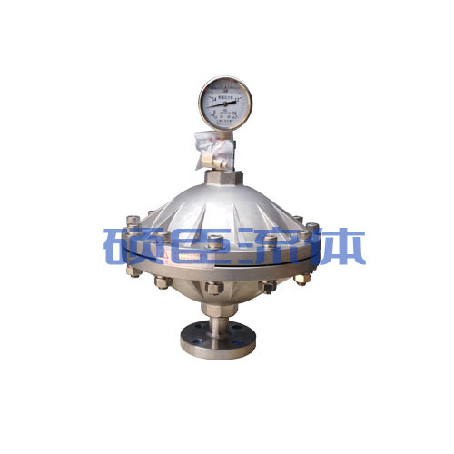 膜片式脈沖阻尼器 膜片式脈沖阻尼器